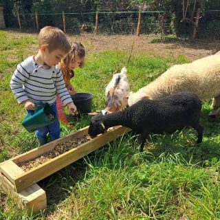 Camping Du Pouldu : Kinderboerderij
